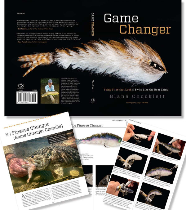 Game Changer Book by Blane Chocklet Game Changer Book by Blane Chocklet